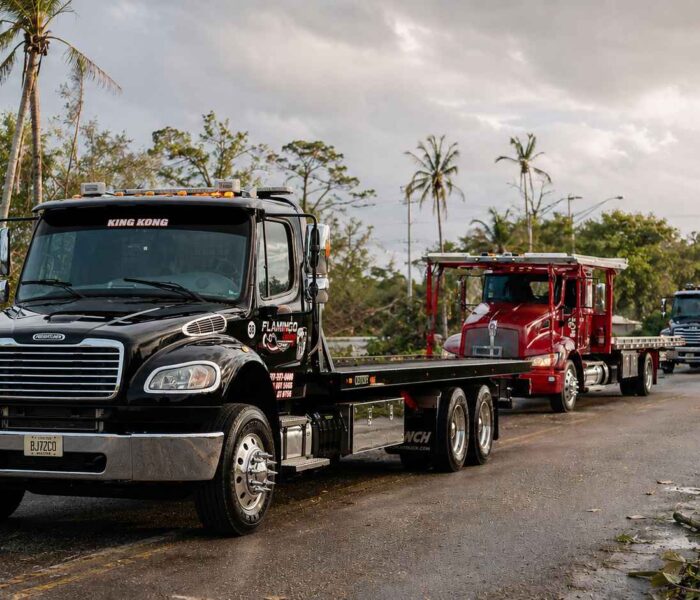 service disaster response towing flamingo